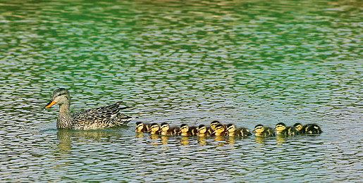 腾讯《三角洲行动》代言人公布 吴彦祖喊你来创建角色